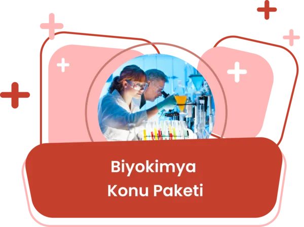 Anatomi Çalışma Teknikleri