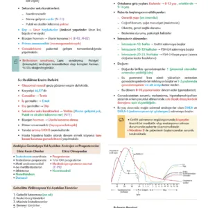 Fast Track Kadın Doğum - 4
