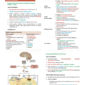 Fast Track Kadın Doğum - 5