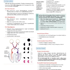 Fast Track Küçük Stajlar - 3