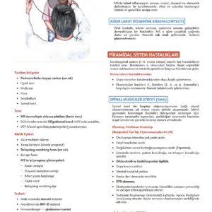 Fast Track Küçük Stajlar - 4