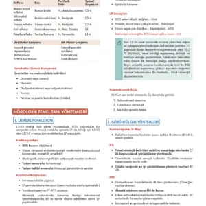 Fast Track Küçük Stajlar - 2