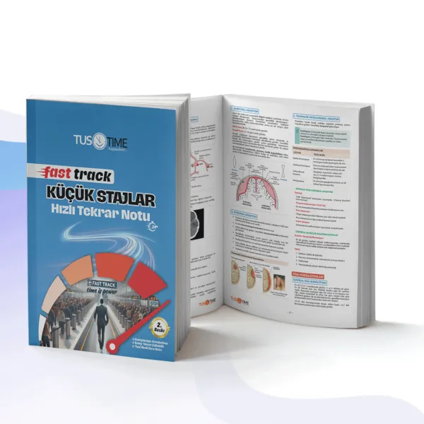 Fast Track Küçük Stajlar