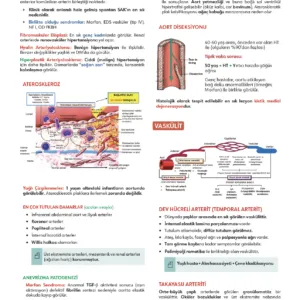 Fast Track Patoloji - 4