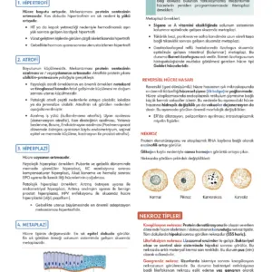 Fast Track Patoloji - 5