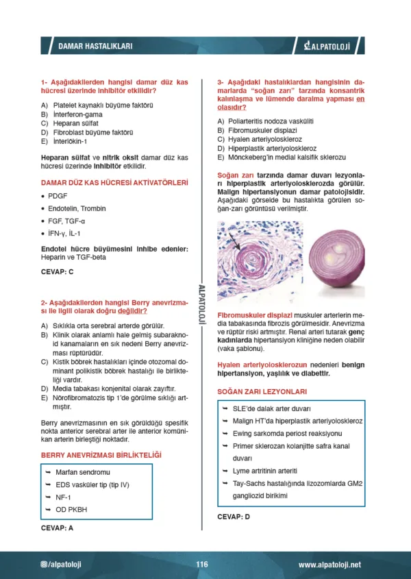 Alpatoloji Soru Bankası - 2