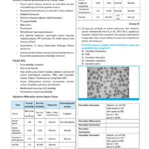 Infotus Dahiliye Soru Bankası - 3