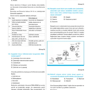 Infotus Histoloji&Embriyoloji Soru Bankası - 3