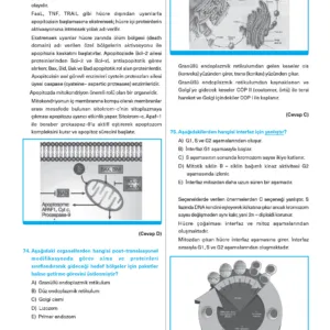 Infotus Histoloji&Embriyoloji Soru Bankası - 4