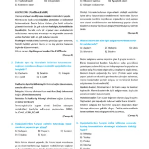 Infotus Histoloji&Embriyoloji Soru Bankası - 5